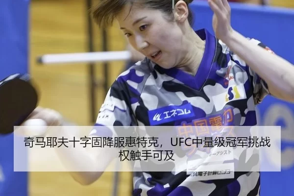 奇马耶夫十字固降服惠特克，UFC中量级冠军挑战权触手可及